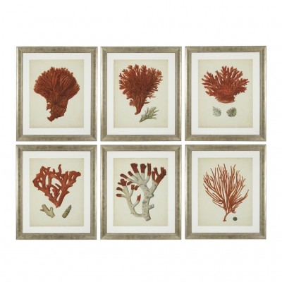 Set de 6 tablouri Antique red corals