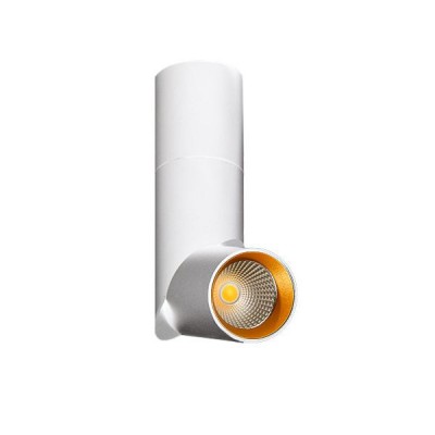Spot LED modern directionabil aplicat tavan/plafon Santos alb