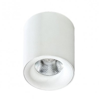 Spot LED aplicat tavan/plafon MANE alb