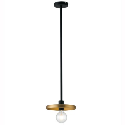 Pendul modern TWIGA