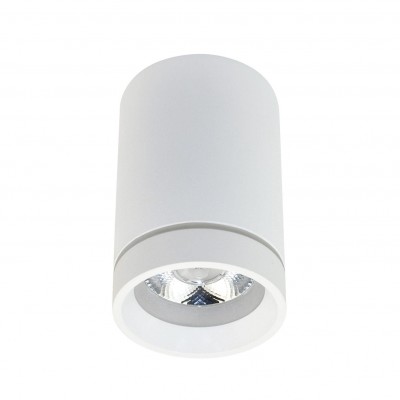 Spot LED aplicat de tavan/plafon Bill alb