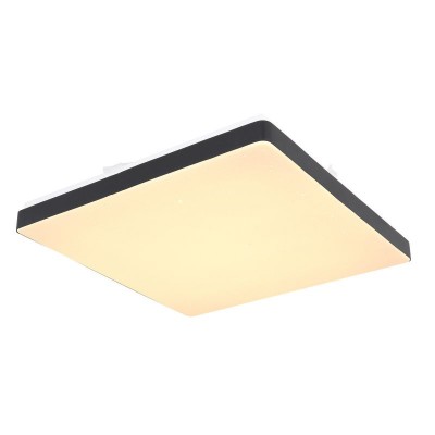 Plafoniera LED design slim RAINA 12W