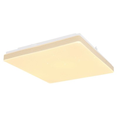 Plafoniera LED design slim RAINA 12W