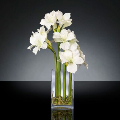 Aranjament floral mediu design LUX AMARYLLIS RADISH WHITE