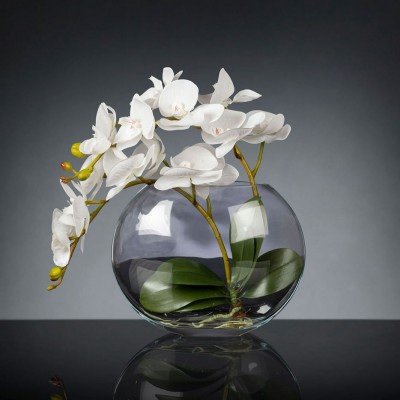 Aranjament floral mediu design LUX OVAL PHALAENO PLANT