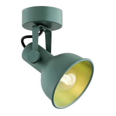 Aplica de perete / tavan cu spot directionabil design modern Lenora verde