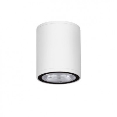 Spot LED aplicat de exterior IP65 LUMINA D-6,5cm alb